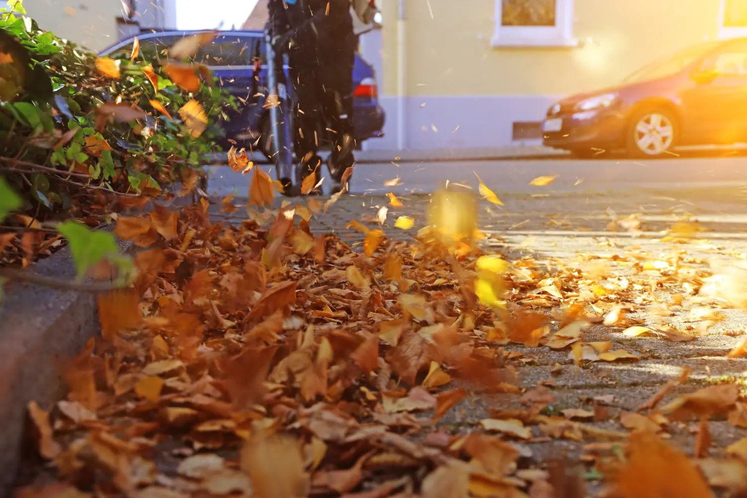 Hausmeisterservice von Greenscape Landschaftsbau & Gartenpflege