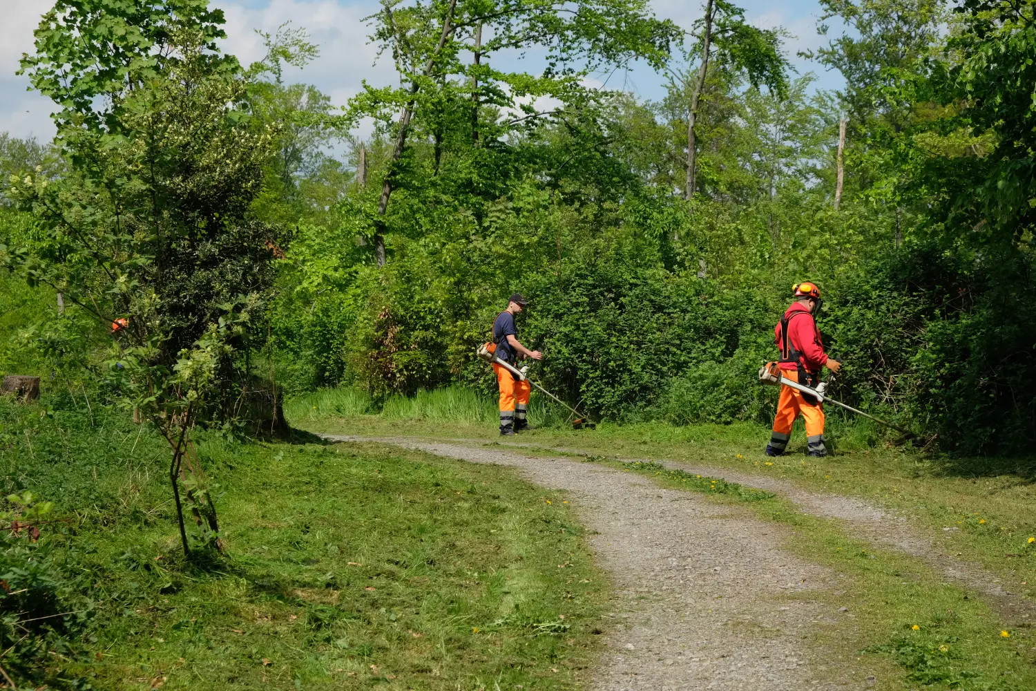 Gartenpflege von Greenscape Landschaftsbau & Gartenpflege